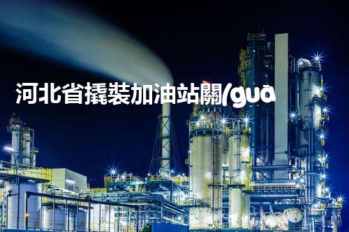 河北省撬裝加油站關(guān)鍵技術(shù)突破！化工廠拆除工程的新方法探索？